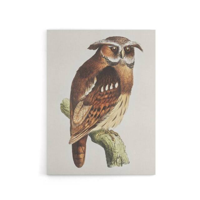 "Artery8 Eagle Owl Perched on a Branch Canvas Wall Art Print van Hoytema in Brown - Size: W18"" x H24""" - image 1