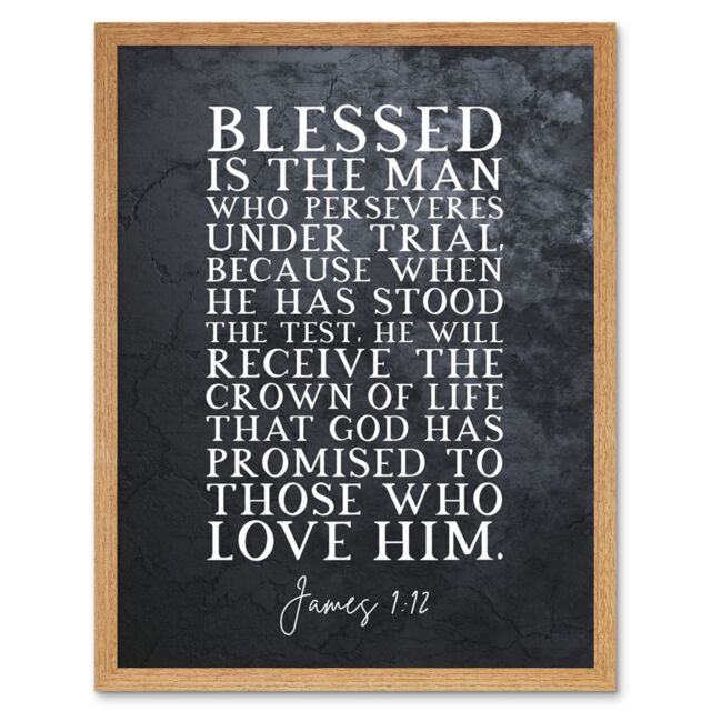 Artery8 Wall Art Print James 1:12 Perservere Stood The Test Receive The Crown Of Life Christian Bible Verse Quote Scripture Typography Art Framed - image 1