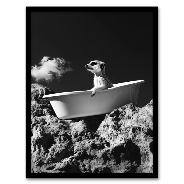 Artery8 Meerkat in Bathtub on a Rock Black White Surreal Framed Art Print in Grey - Size: A4 - image 1