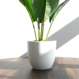 Leaf Artificial Foliage Plant Potted Aureum 45cm Pack of 6 in Green - thumbnail 6