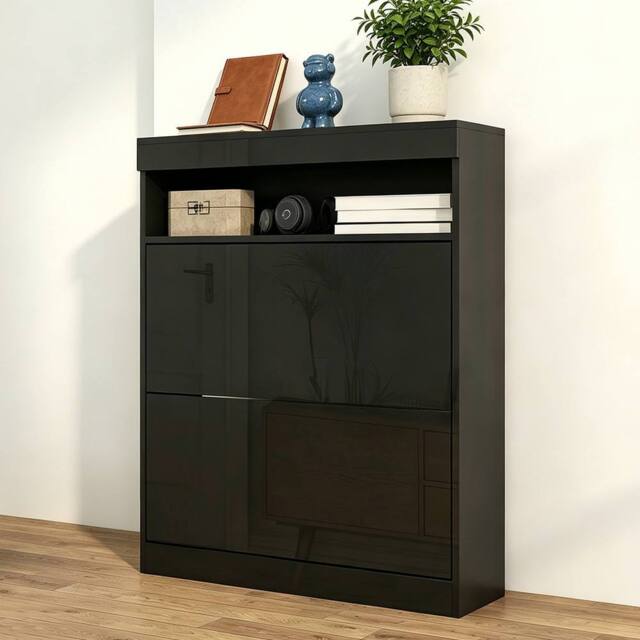 ERGOVEXA High Gloss Shoe Cabinet with 2 Flip Doors - Black - image 1