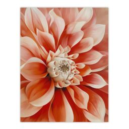 "Artery8 Pink Dahlia Flower Close Up Petals Painting Wall Art Print - Size: W24"" x H32""" - thumbnail 1