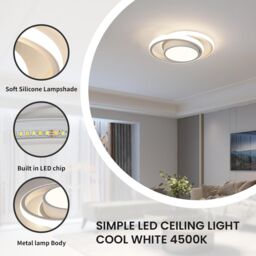 Pheashine Modern LED Ceiling Light, neutral light 4500K, 27cm long, Indoor Use in White - thumbnail 3