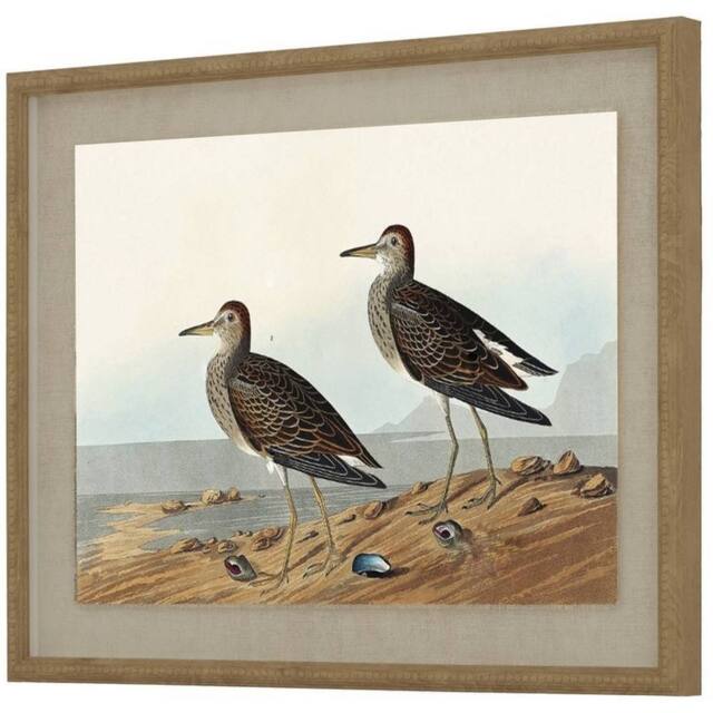 Lemon Pavilion Furniture and Decor Flora & Fauna Collection Sandpipers on Linen in Beaded Frame - Brown - image 1