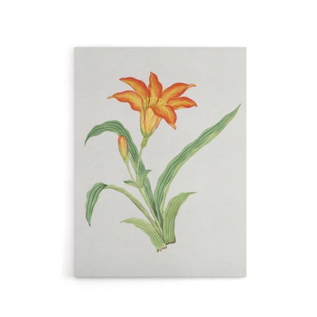 "Artery8 Orange Lily Flower Canvas Wall Art Print Vintage Japan Botanical in Pink - Size: W18"" x H24""" - image 1