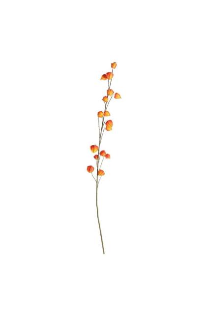 KDMD Botanica Orange Fruit Branch 144cm - image 1