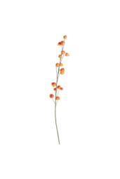 KDMD Botanica Orange Fruit Branch 144cm - thumbnail 2