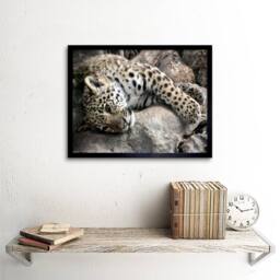 "Artery8 Jaguar Cub Big Cat Nature Home Decor 12x16"" Framed Art Print in Grey - Size: W12"" x H16""" - thumbnail 2