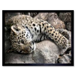 "Artery8 Jaguar Cub Big Cat Nature Home Decor 12x16"" Framed Art Print in Grey - Size: W12"" x H16""" - thumbnail 1