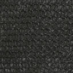Berkfield Home Sunshade Sail 160 g/m ² Anthracite 2.5x4.5 m HDPE in Black - thumbnail 5