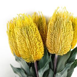 Leaf 75cm Banksia Menziesii Yellow Flower Stem Artificial - thumbnail 3