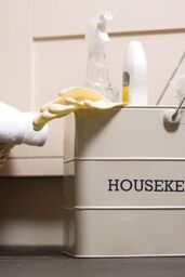 Living Nostalgia Antique Cream Housekeeping Box - thumbnail 2