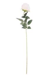 KDMD Essential Cream Arundel Rose 70cm 3 Pack in White - thumbnail 2