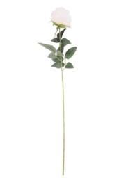 KDMD Essential Cream Arundel Rose 70cm 3 Pack in White - thumbnail 1