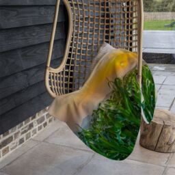 Benjamin Tate Design green corn field in agricultural garden & light shines sunset Designer Blanket in Natural - Size: 120 cm x 150 cm - thumbnail 3