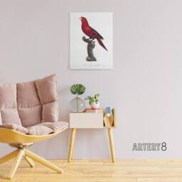 "Artery8 The Violet Necked Lory Parrot Levaillant Canvas Wall Art Print in White - Size: W12"" x H16""" - thumbnail 3