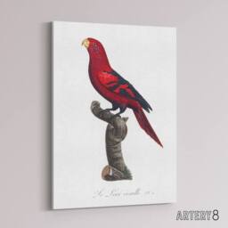 "Artery8 The Violet Necked Lory Parrot Levaillant Canvas Wall Art Print in White - Size: W12"" x H16""" - thumbnail 2