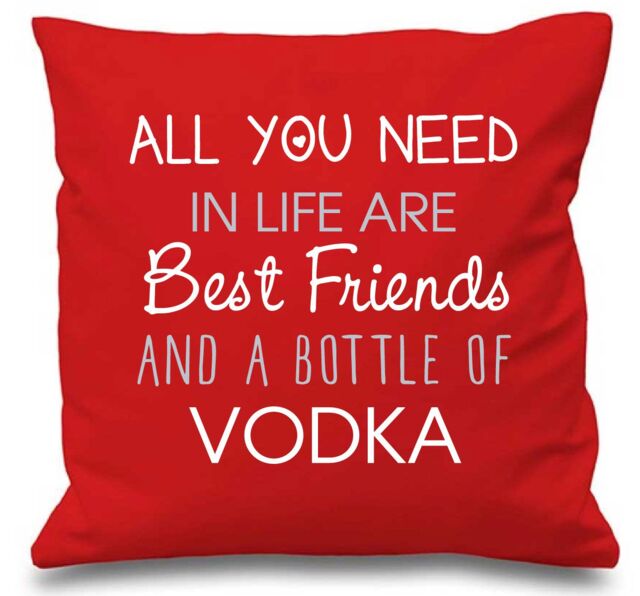 "60 SECOND MAKEOVER Cushion Cover All You Need In Life Are Best Friends & A Bottle Of Vodka 16"" x 16"" in Red - Size: 40 cm x 40 cm"
