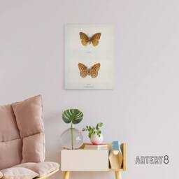 "Artery8 Aphrodite Fritillary Butterfly Denton Canvas Wall Art Print in White - Size: W24"" x H32""" - thumbnail 3