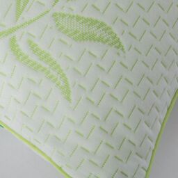 Snug City Rayon From Bamboo Memory Foam Pillow Anti Allergy Support in Green - thumbnail 3