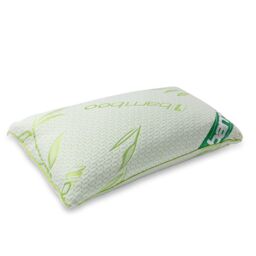 Snug City Rayon From Bamboo Memory Foam Pillow Anti Allergy Support in Green - thumbnail 4