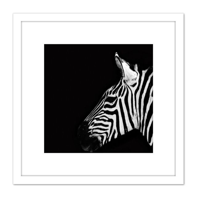 Artery8 Zebra Head Animal Black White Photo 8X8 Inch Square Wooden Framed Wall Art Print Picture with Mount - image 1