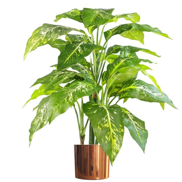 Leaf 100cm Large Fox's Aglaonema (Spotted Evergreen) Tree Artificial Plant with Copper Metal Planter in Green - image 1