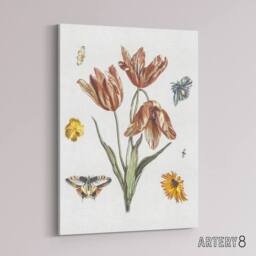 "Artery8 Flowers Butterflies & A Fly Johan Teyler Canvas Wall Art in White - Size: W18"" x H24""" - thumbnail 2