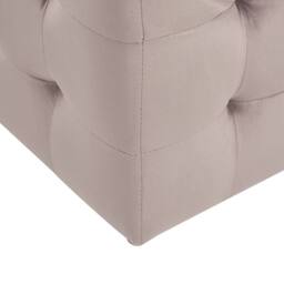 Wyld and Coco Pink Velvet Tufted Storage Ottoman Bench with Hinged Lid - thumbnail 8