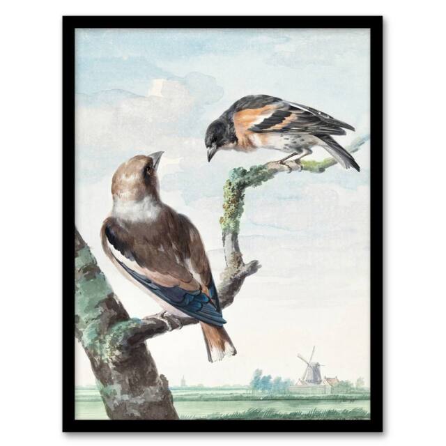 "Artery8 Two Hawfinch Birds in Rural Landscape Schouman Framed Wall Art Print in Blue - Size: W12"" x H16""" - image 1