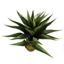 Leaf Artificial Yukka Tropical House Plant Plastic Pot 55cm Faux House Plants Botanik in Green - thumbnail 4