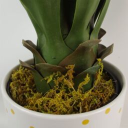 Leaf Artificial Yukka Tropical House Plant Plastic Pot 55cm Faux House Plants Botanik in Green - thumbnail 6