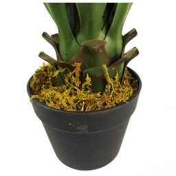 Leaf Artificial Yukka Tropical House Plant Plastic Pot 55cm Faux House Plants Botanik in Green - thumbnail 3