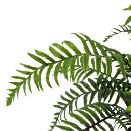 Leaf 50cm Artificial Boston Fronded Fern Plant in Green - thumbnail 6