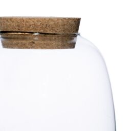 Ivyline Bowl Shape Medium Terrarium DIY Kit H20cm D19cm- Perfect for Gifting in Clear - thumbnail 3
