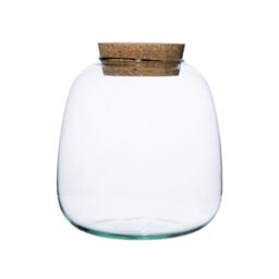 Ivyline Bowl Shape Medium Terrarium DIY Kit H20cm D19cm- Perfect for Gifting in Clear - thumbnail 1