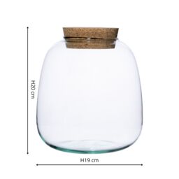 Ivyline Bowl Shape Medium Terrarium DIY Kit H20cm D19cm- Perfect for Gifting in Clear - thumbnail 4