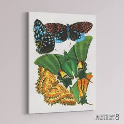 "Artery8 Vintage Vibrant Butterflies Papillons Canvas Wall Art Print Seguy - Size: W24"" x H32""" - thumbnail 2