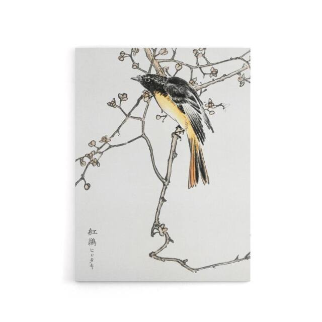"Artery8 Siberian Blue Tail Bird Japanese Canvas Wall Art Print Kashu - Size: W18"" x H24""" - image 1