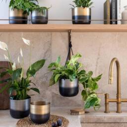 Ivyline Oscar Two Tone Gold Metal Plant Pot Set of 2