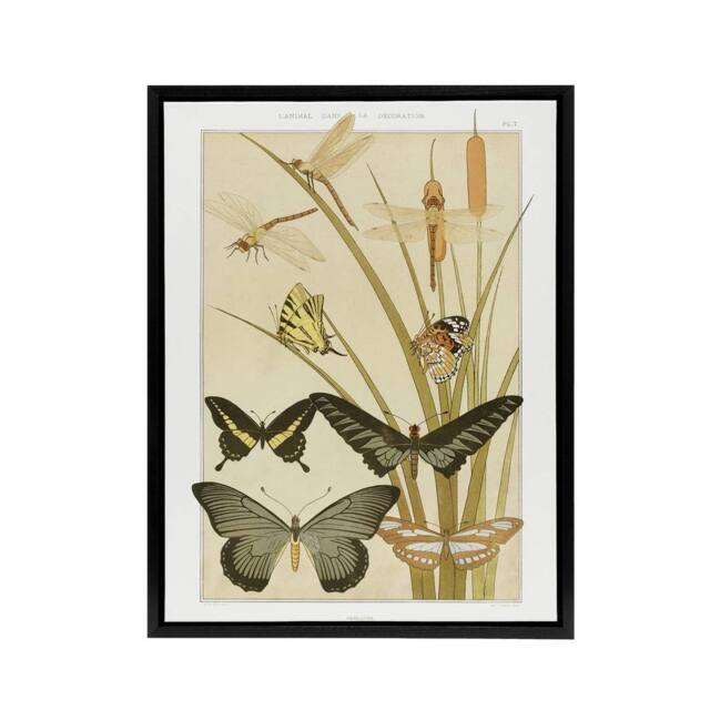 "Artery8 Butterflies & Dragonflies Framed Canvas Wall Art Print Verneuil in Khaki - Size: W24"" x H32""" - image 1