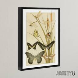 "Artery8 Butterflies & Dragonflies Framed Canvas Wall Art Print Verneuil in Khaki - Size: W24"" x H32""" - thumbnail 2