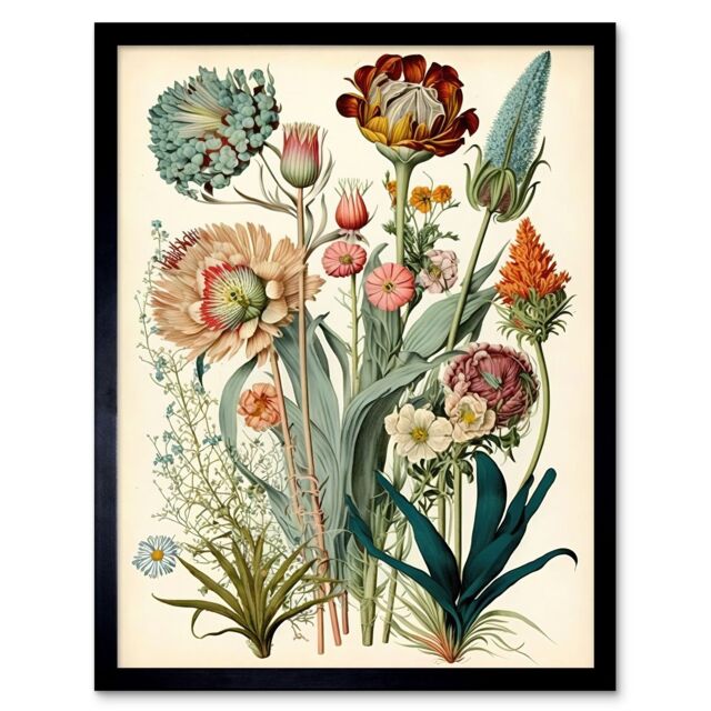 "Artery8 Wall Art Print Ernst Haeckel Inspired Vintage Botanical Plant Study Modern Watercolour Painting Art Framed - Size: W12"" x H16""" - image 1