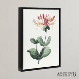 "Artery8 Honeysuckle Botanical Redoute Vintage Black Framed Canvas Wall Art in White - Size: W12"" x H16""" - thumbnail 2