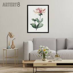 "Artery8 Honeysuckle Botanical Redoute Vintage Black Framed Canvas Wall Art in White - Size: W12"" x H16""" - thumbnail 3
