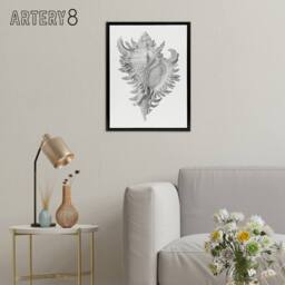 "Artery8 Whelk Sea Snail Shell Drawing Haeckel Botanical Framed Canvas Wall Art in White - Size: W12"" x H16""" - thumbnail 3