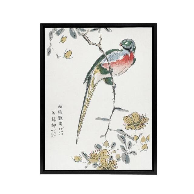 "Artery8 Macaw Parrot & Peach Flowers Framed Canvas Wall Art Print Numata Kashu - Size: W12"" x H16""" - image 1
