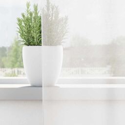 Berkfield Home Voile Curtains with Loops 2 pcs White 140x260 cm - thumbnail 3