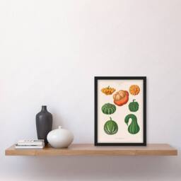 "Artery8 Ornamental Gourds Kitchen Decor Ernst Benary Framed Wall Art Print in White - Size: W12"" x H16""" - thumbnail 4