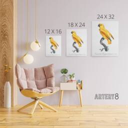 "Artery8 Lutino Senegal Parrot Francois Levaillant Canvas Wall Art Print in White - Size: W12"" x H16""" - thumbnail 4
